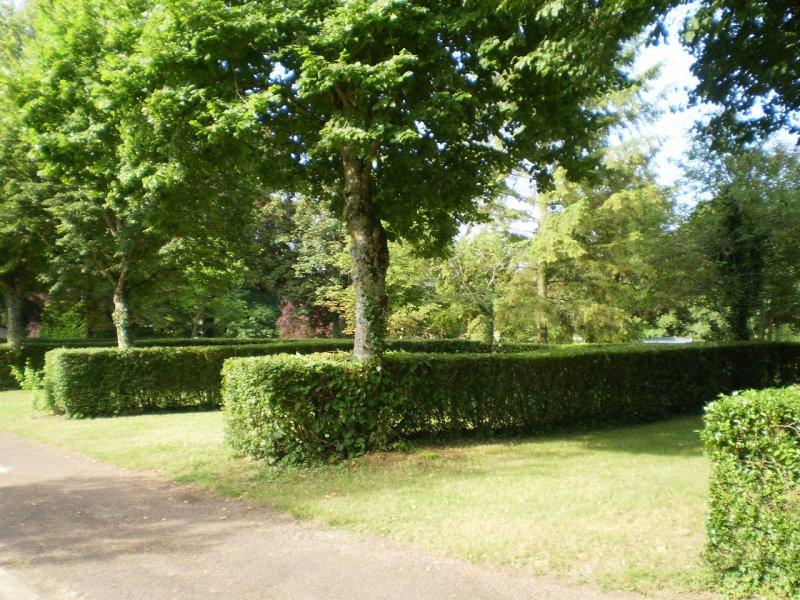 Château de Varzy_58210 VARZY_15